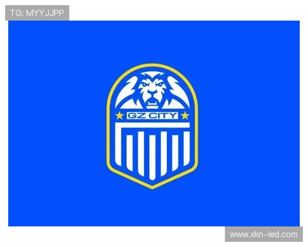 广州足球队的拼搏历程与荣耀时刻深度解析